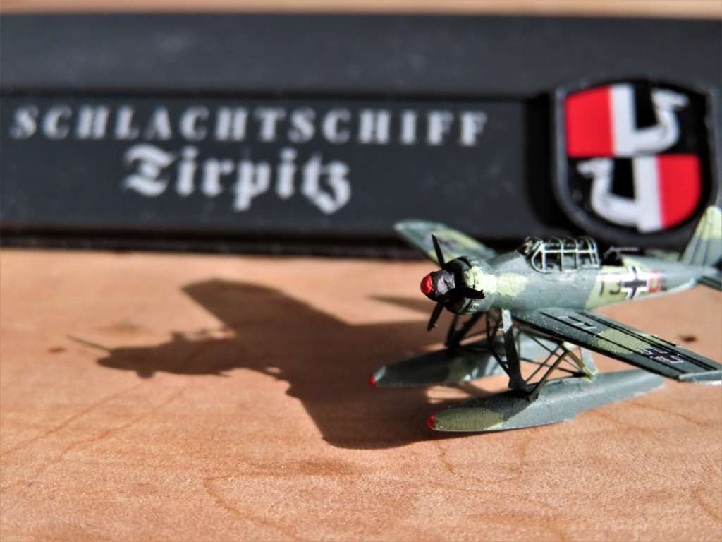 Tirpitz 1:350 Platinum Edition - Page 4 Img_0423