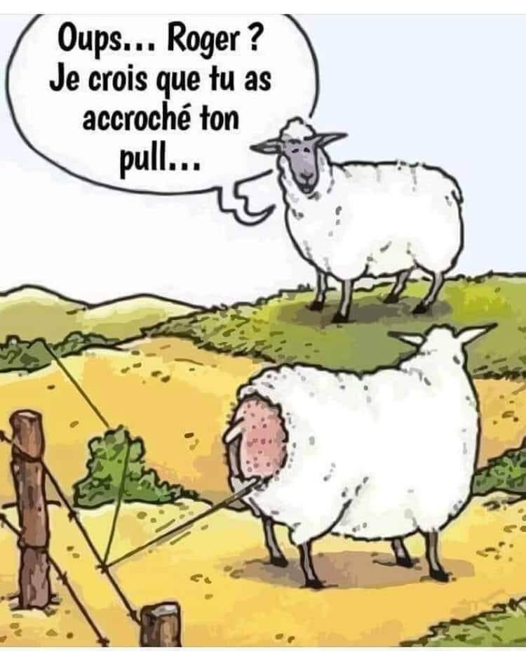 humour - Page 10 33286410