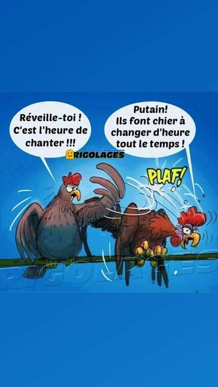 humour - Page 16 33700411