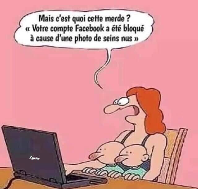 humour - Page 14 35841310