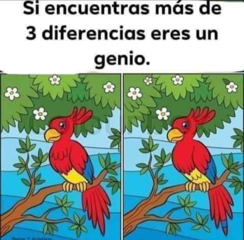 Encuentra más de 3 diferencias y sé un genio Screen51