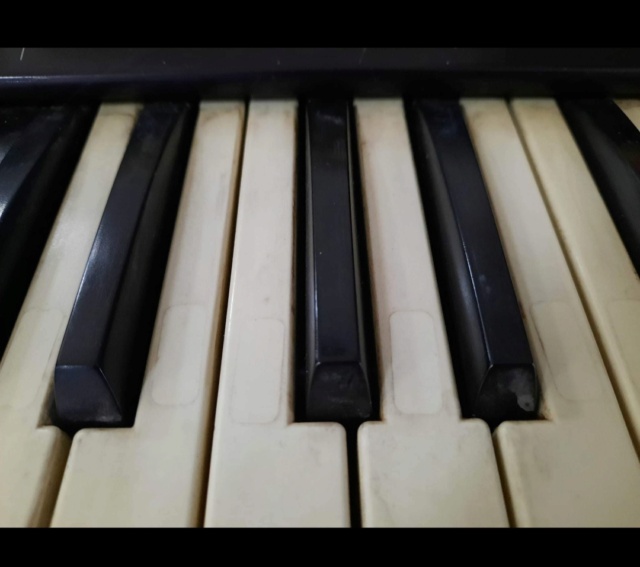 Demande aide pour révision orgue Hammond Piper 20230210