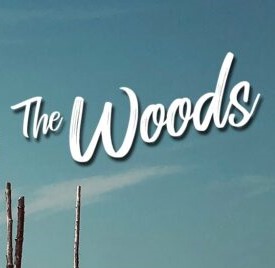 THE WOODS - Un groupe talentueux  The_wo22