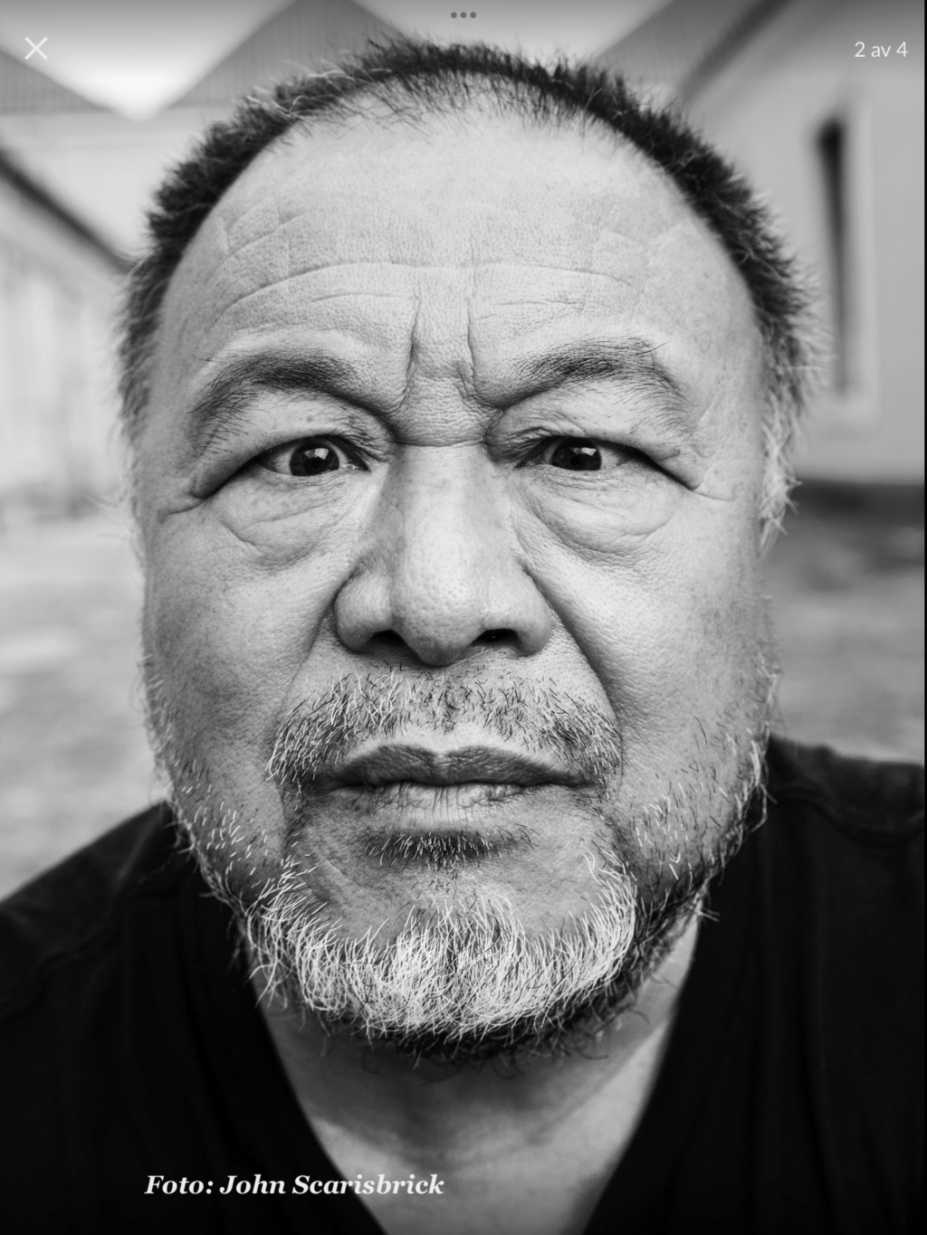 Ai Weiwei 7bbbfd10