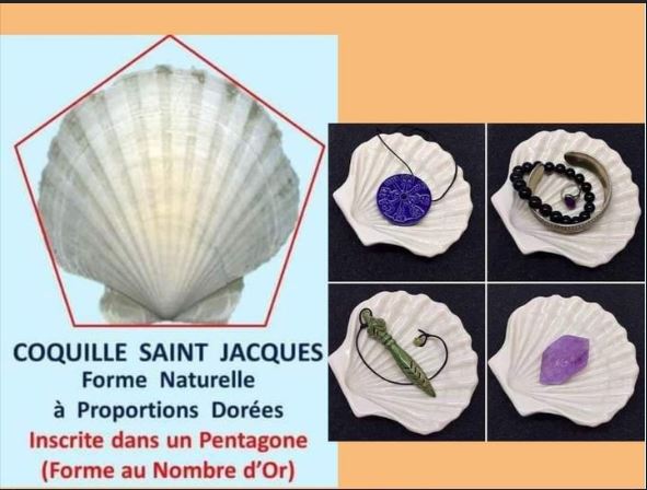 LES ORGONITES.... PROTECTIONS CONTRE LES ONDES NEFASTES Coquil14