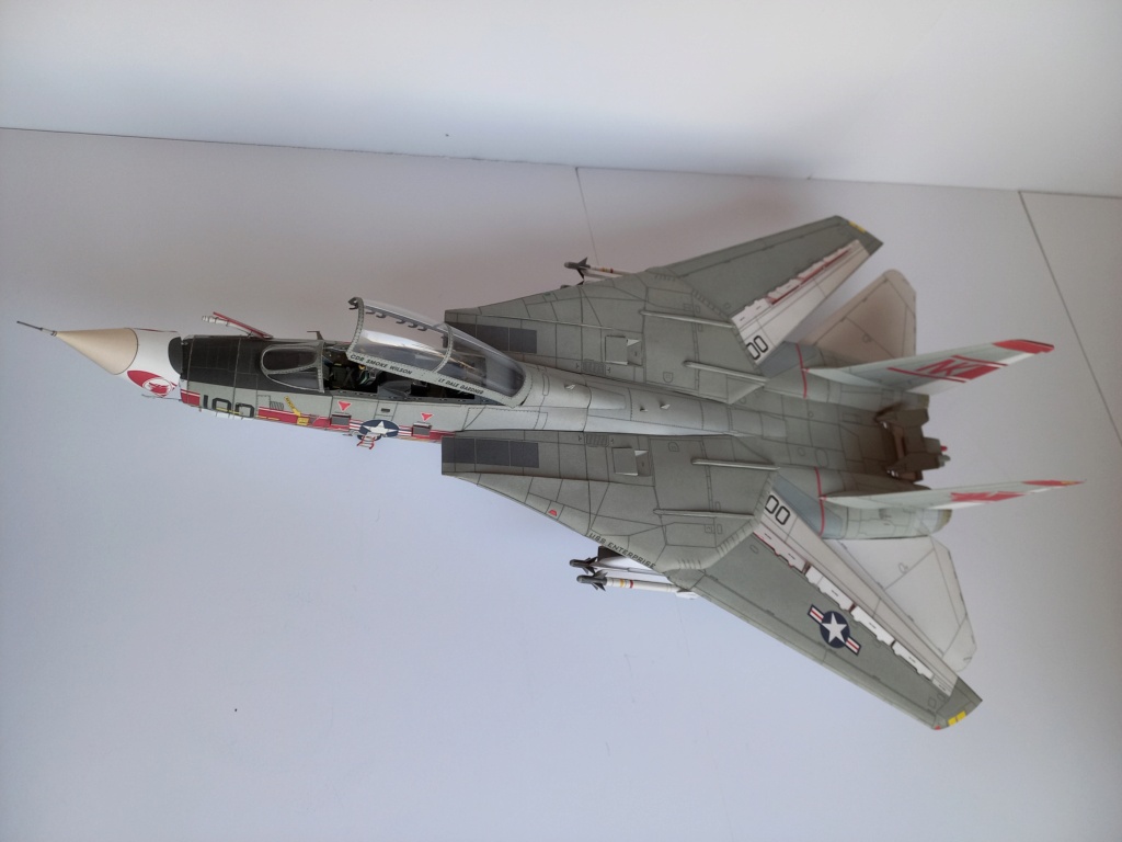 F-14 TOMCAT, Maßstab 1:33, Halinski-Modell, hergestellt von Lachezar 20221232