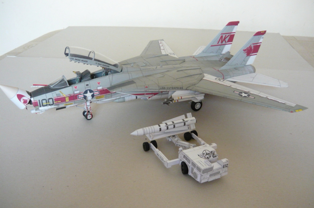 F-14 TOMCAT, Maßstab 1:33, Halinski-Modell, hergestellt von Lachezar P1040014