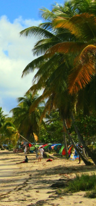 Croisière dans les Caraïbes Ponant sur le Dumont-D’Urville Img_0333