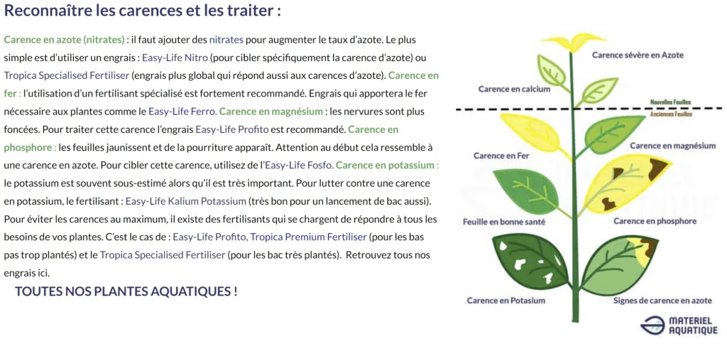 Suivi lancement de mon Ciano Emotions Pro 80 (145 litres) Carenc11