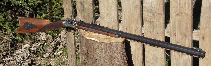 Wesson rifle de Palmetto 2015_027
