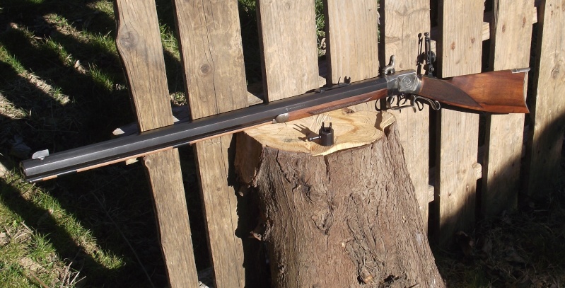 Wesson rifle de Palmetto 2015_033