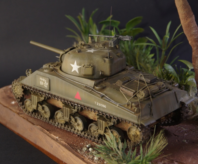 Sherman M4 A4 Cyber Hobby 1/35 en Birmanie Imgp4920