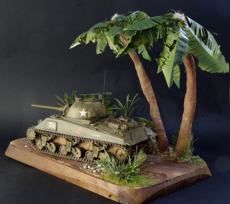 Sherman M4 A4 Cyber Hobby 1/35 en Birmanie Imgp4928