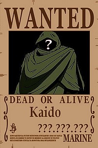 Wanted Pirates Renommés Kaido10