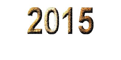 Bonne Année 2015 à tous ! Animat10