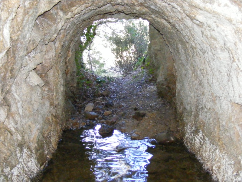 Safari Bunker Novembre 2012 Ligne des Pyrénées Perthu13