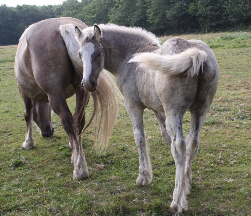 ATHOS ,AÏDA et ANTARES Img_0118