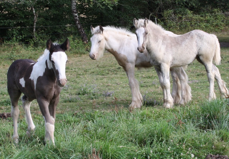 ATHOS ,AÏDA et ANTARES Img_0121