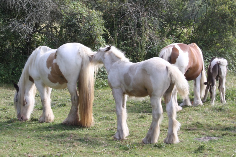 ATHOS ,AÏDA et ANTARES Img_0126