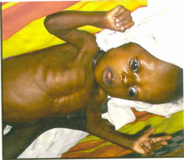 Les enfants qui meurent de faim sont très bien élevés, Nj0v3911