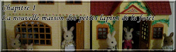 Le village des petits lapins de la forêt Chapit10