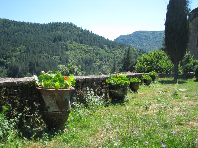 les chateaux de la Lozere - Page 14 06110