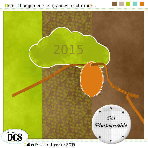 Défis, Changements et grandes résolutionS Pv_dyf10