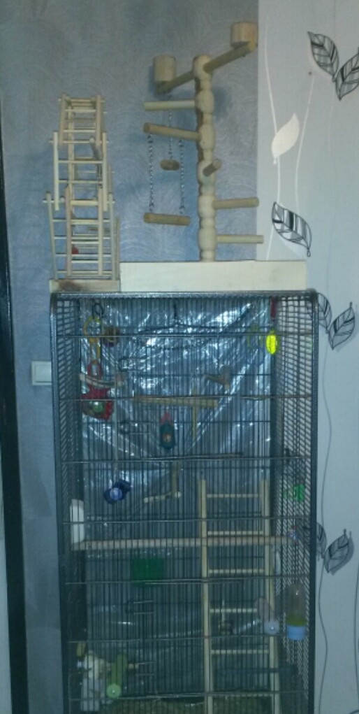 jouets Cage_110