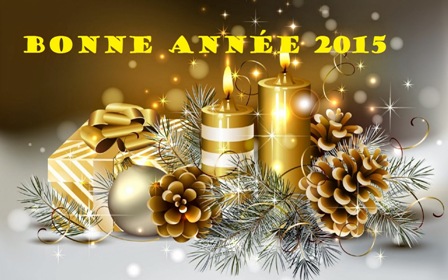 Bonne année 2015 ! Happy-11