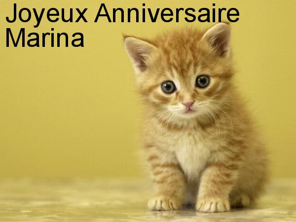 Bon Anniversaire Marina Forum Des Adoptants Au Refuge Spa D Orgeval Nimo Bon Anniversaire Marina Forum Des Adoptants Au Refuge Spa D Orgeval Nimo