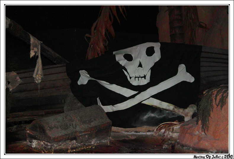 pirates des caraibes - Page 3 Img_0611