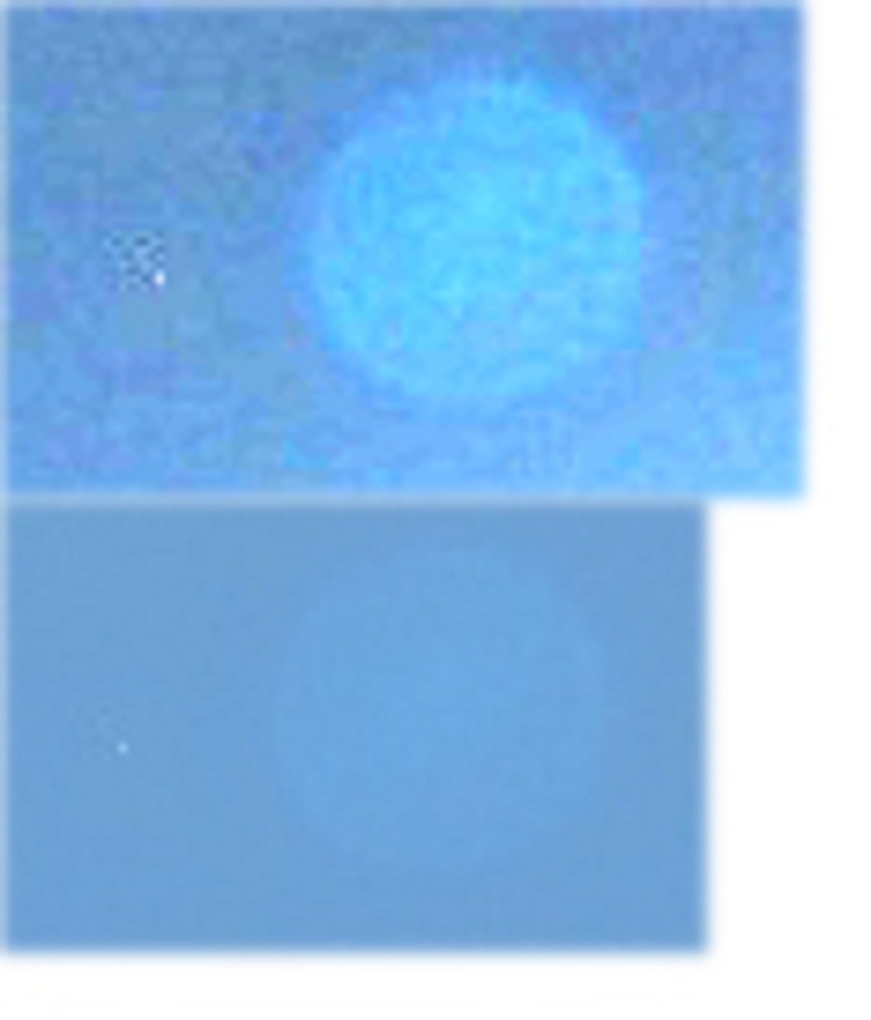2012: le 01/08 à 12h06 - Chamonix : Photo d'un OVNI furtif ? (74)  - Page 6 110
