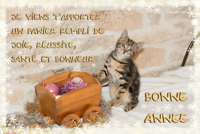 Bon réveillon du 31 décembre 2015,Bonne Année Chat-p10