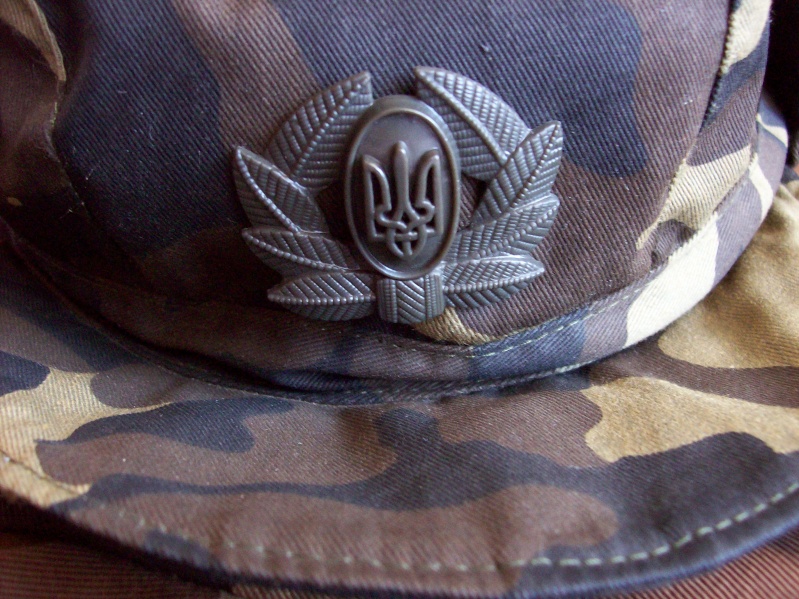 Ukrainian camouflage 100_5812