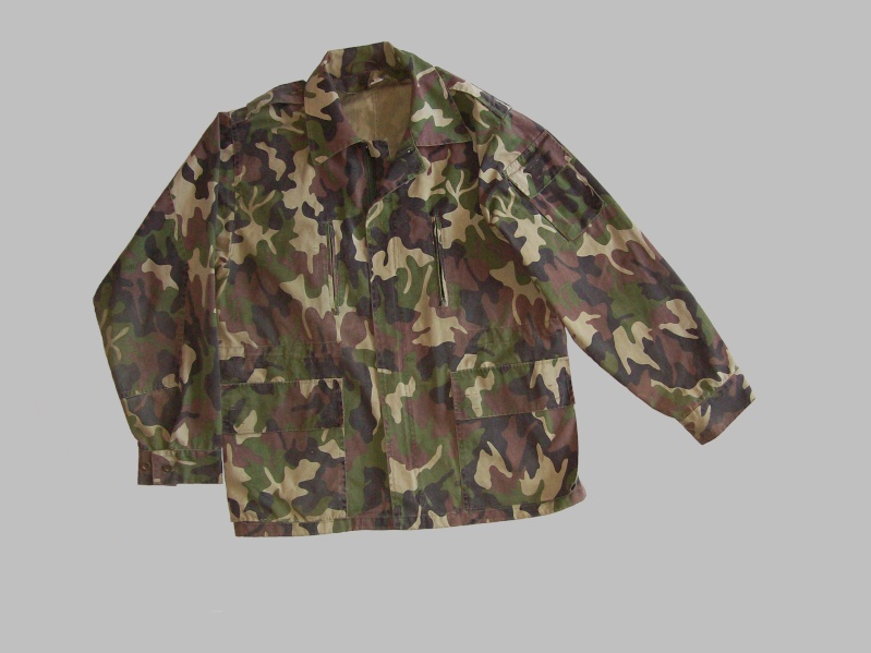 Serbian of Bosnian and Srpska repubic camouflage 100_8511