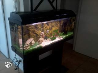 aquariul de 120litre débutant 30243111