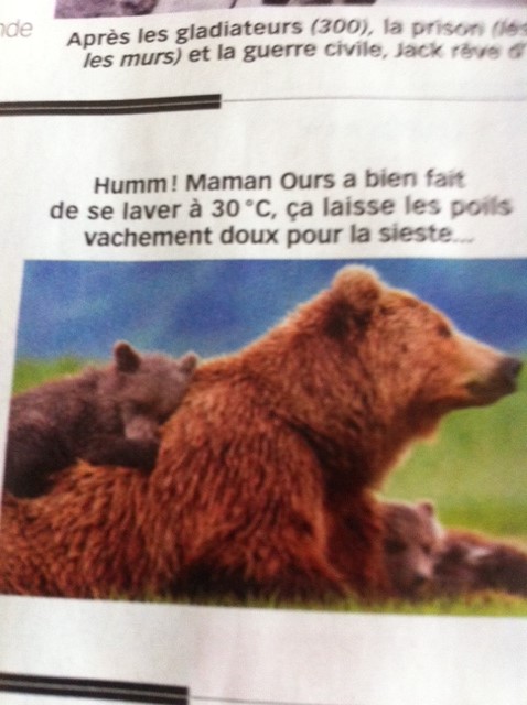 L'ours fait de l'humour - Page 3 Photo_19