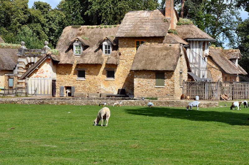 ferme - La ferme du hameau du Petit Trianon Ferme_10