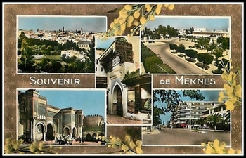Meknès, la ville Nouvelle 4 - Page 21 790_0011