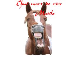 Porte serviette Chui_m10