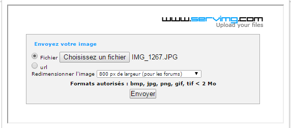 Comment mettre une image dans un message 210