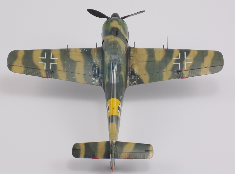 [Eduard] Focke Wulf Fw 190A-5 1/48  Imgp1018