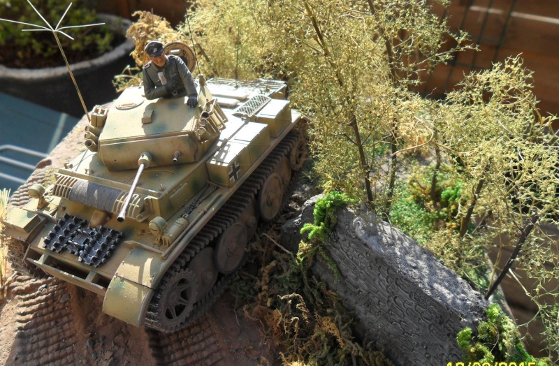 Panzer II LUSCH  TASCA 1/35 Sam_4029