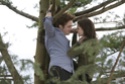 Twilight 010t11