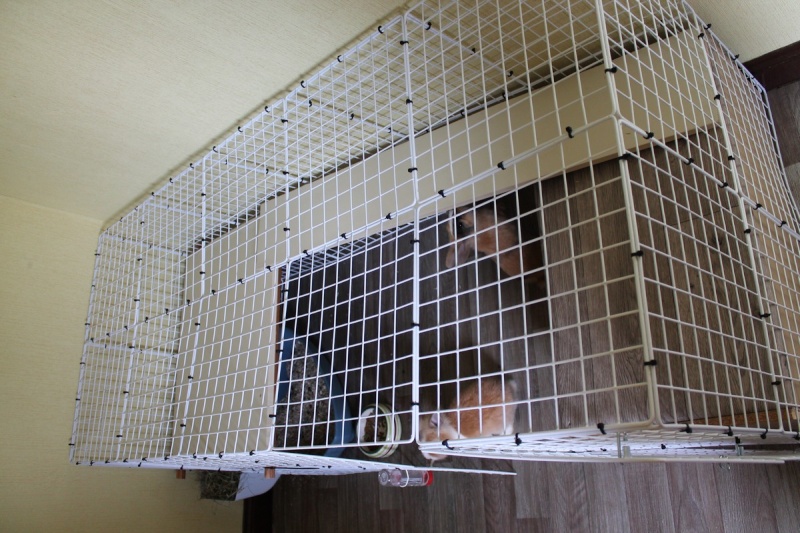 Habitation des lapins : exemples de cages, enclos ... - Page 24 Cage10