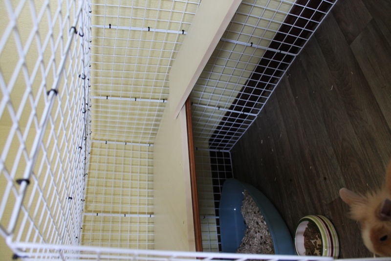 Habitation des lapins : exemples de cages, enclos ... - Page 24 Cage210
