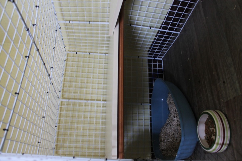 Habitation des lapins : exemples de cages, enclos ... - Page 24 Cage310