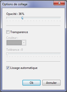  Comment superposer 2 images sur Google Earth [Pb Technique GE, résolu] Boite210