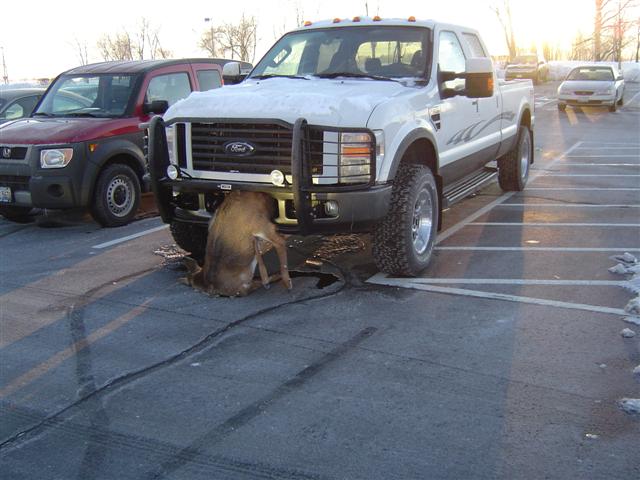 La verité Chevrolet vs Dodge Deer-f10