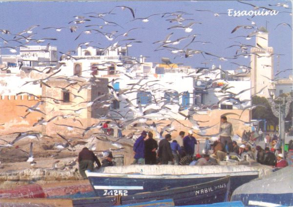 Essaouira en cartes postales 23-01-34